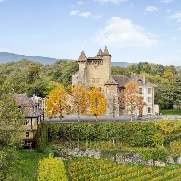 Des jardins et des vignes entourent le château