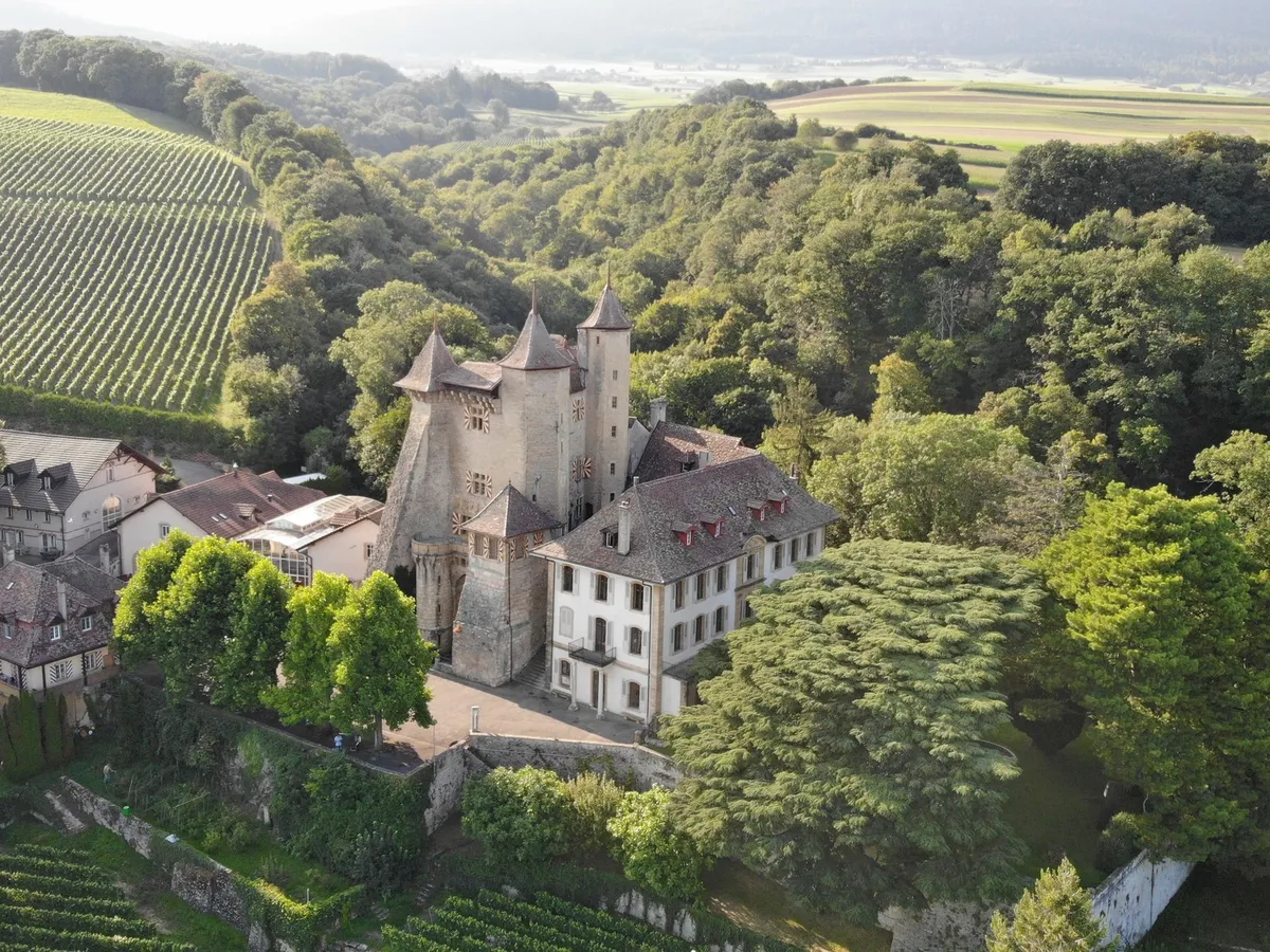 Privatisation du Château