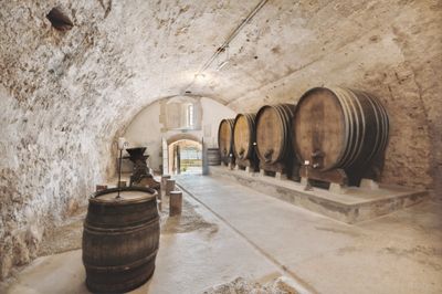 Cave voûtée du château avec tonneaux de vin