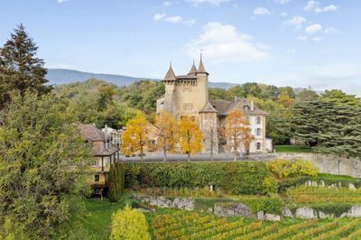 Vue du Château de Vaumarcus et ses vignes
