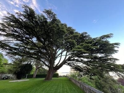 Les jardins et la pelouse du château